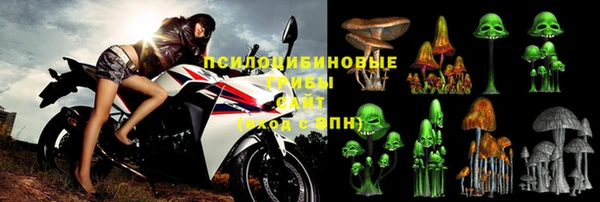 индика Заволжск