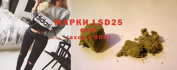 индика Заволжск