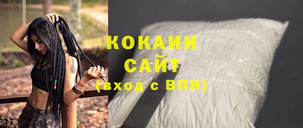 индика Заволжск