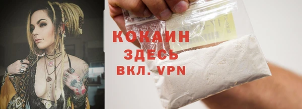 индика Заволжск