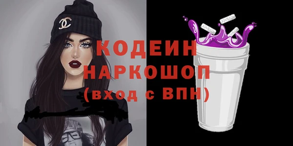 индика Заволжск