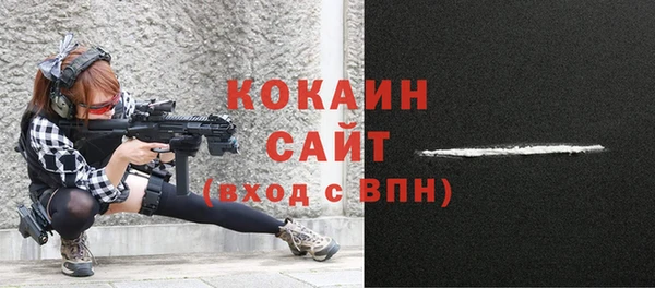 индика Заволжск