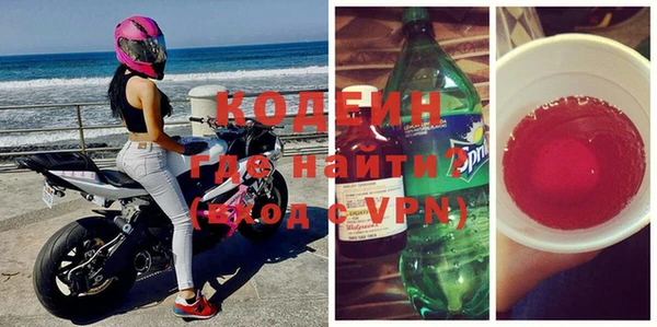 индика Заволжск