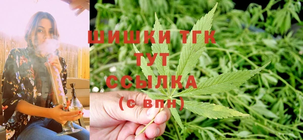 индика Заволжск
