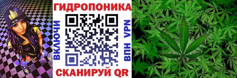 Купить где  Искитим  МАРИХУАНА марихуана 